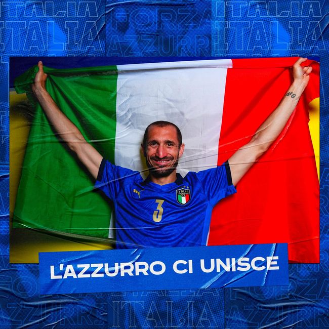 球迷和评论 球迷和评论