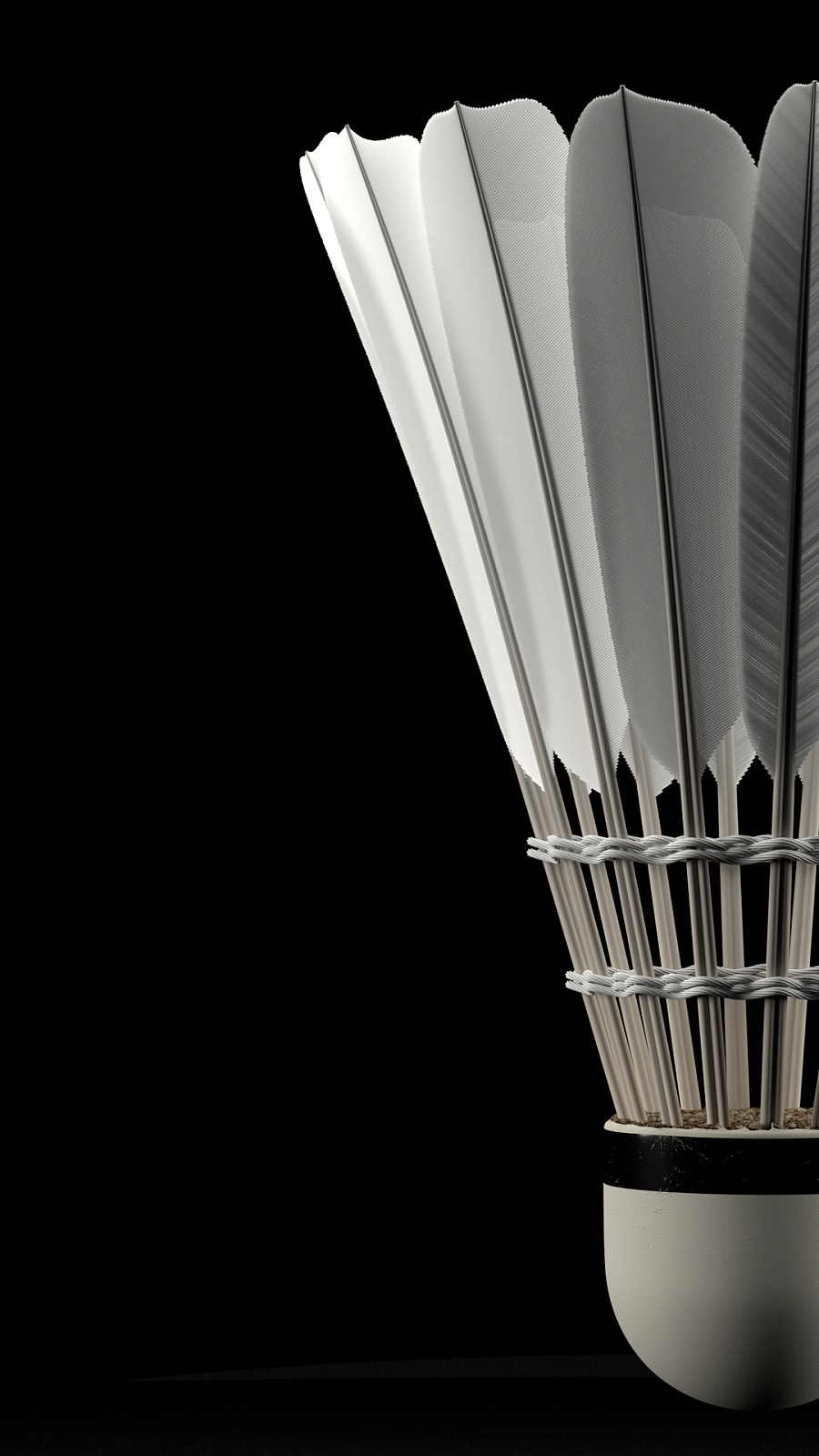 在体育界再 在体育界再