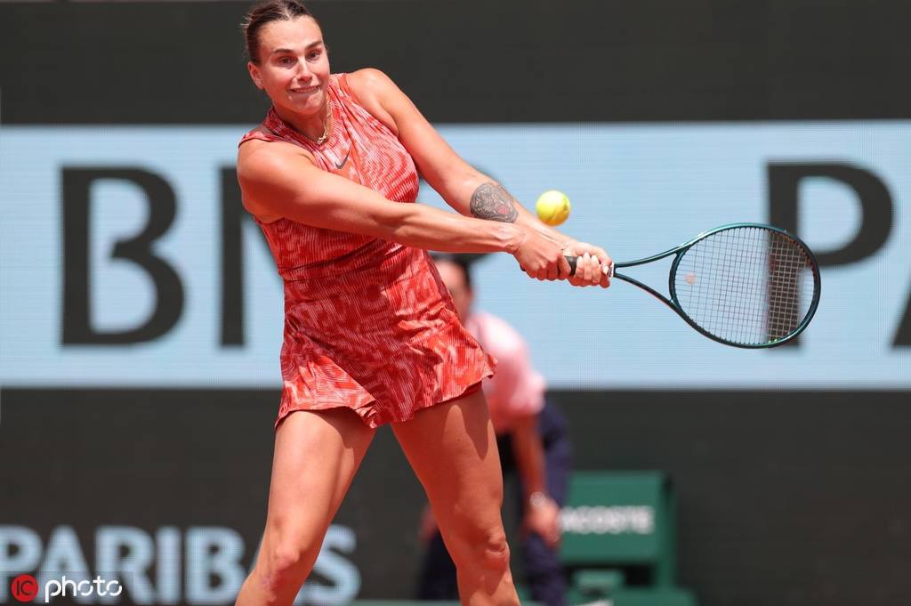 肘膝并进 肘膝并进