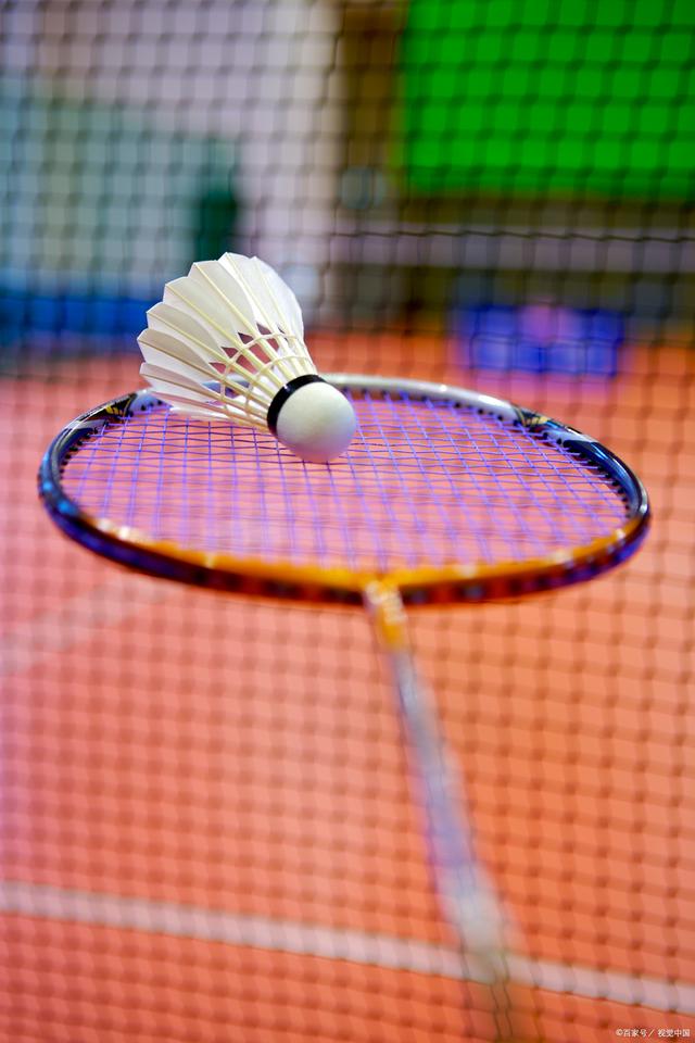 本案流程大 本案流程大